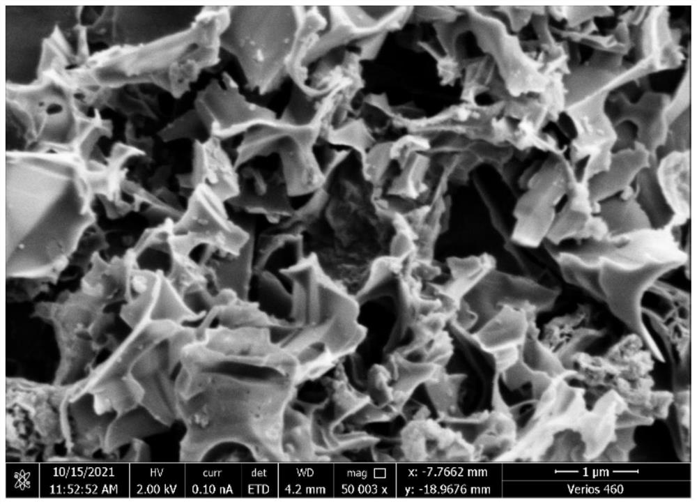 Nitrogen-doped porous nano biochar, preparation method and application thereof