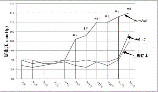 Application of Ad-sAxl in establishment of preeclampsia rat model and establishment method of preeclampsia rat model