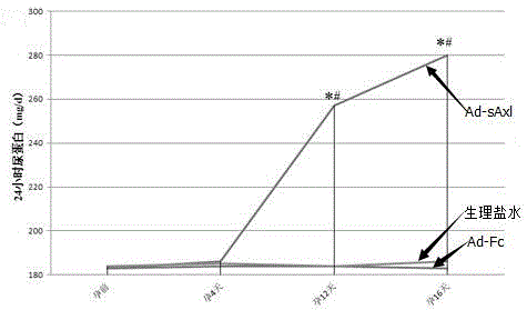 Application of Ad-sAxl in establishment of preeclampsia rat model and establishment method of preeclampsia rat model