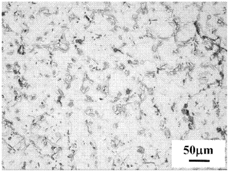 Bi and Nd composite reinforced high-strength cast magnesium alloy and preparation method thereof