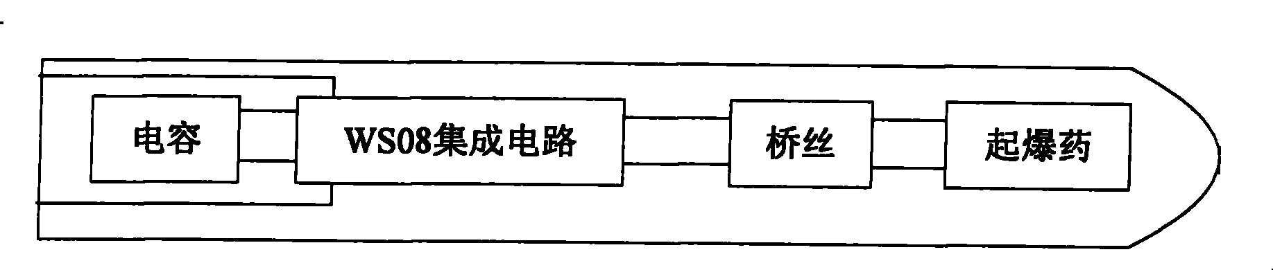 Digital electric detonator ignition system based on biometric identification technology