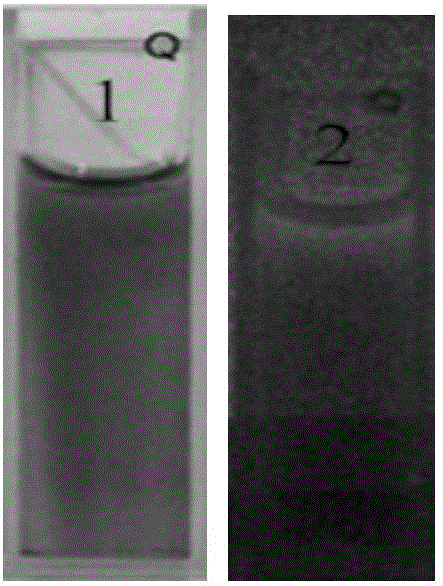 Preparation and application of red fluorescent silver nanocluster