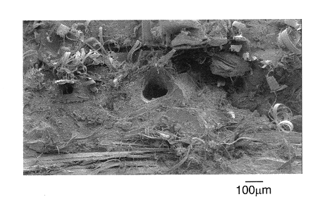 Composite articles reinforced with highly oriented microfibers