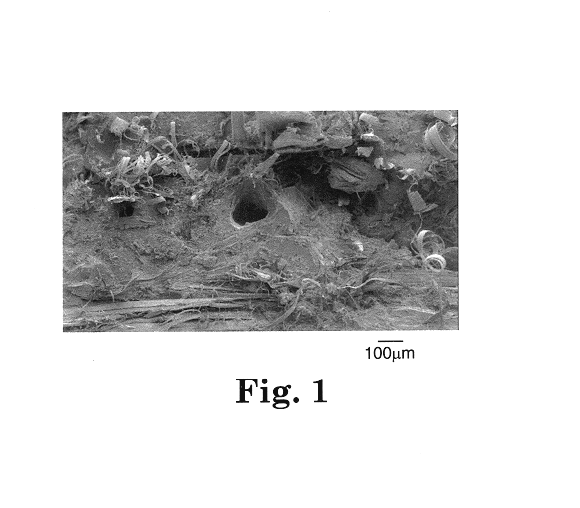 Composite articles reinforced with highly oriented microfibers