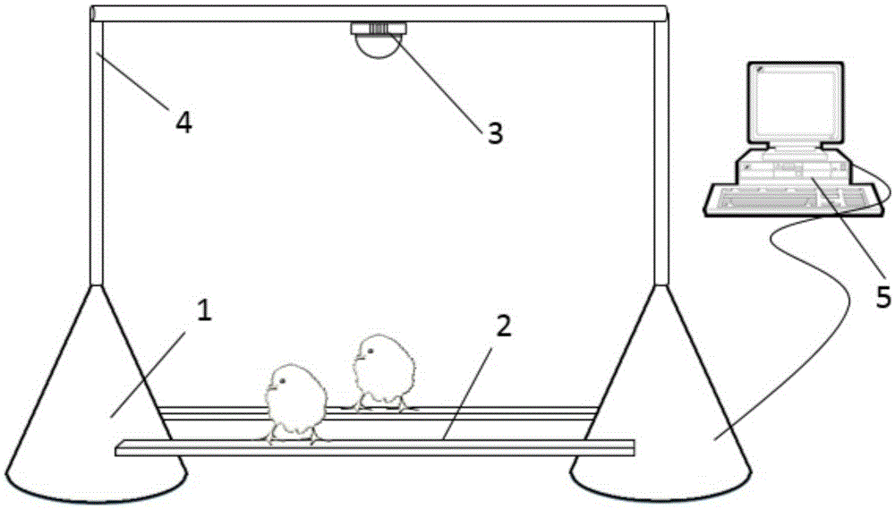 Rod-shaped platform chicken on-site weighing system and method