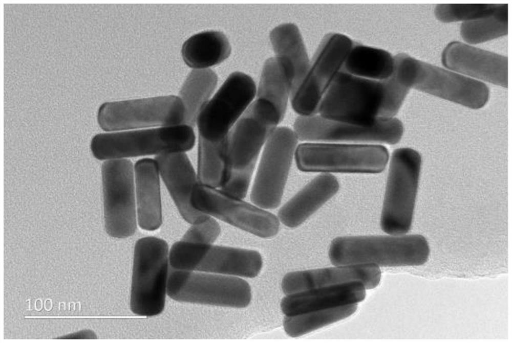 Method for on-site rapid detection of sulfur dioxide in tremella fuciformis and sampling paper chip