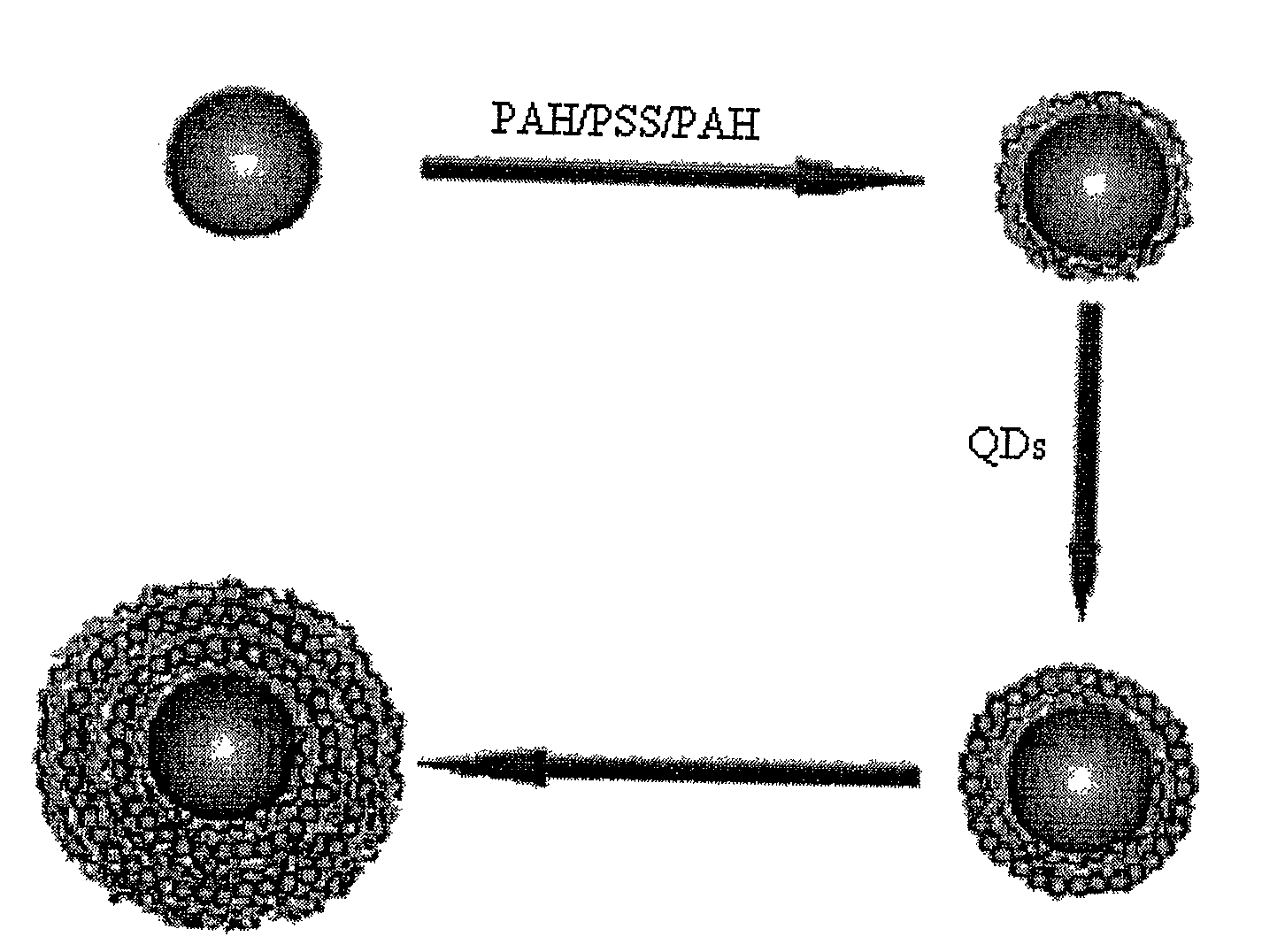 Photon crystal composite encoding microsphere and preparation method