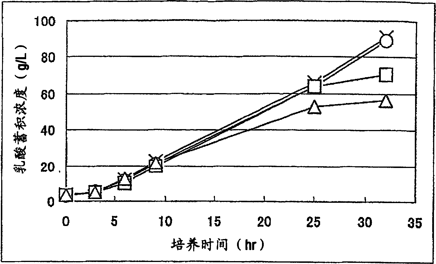 Biocatalyst for producing d-lactic acid