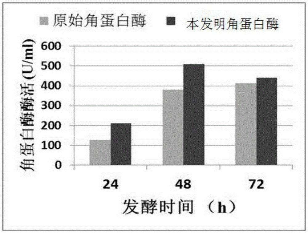 Fermentation method for efficiently producing keratinase through recombinant escherichia coli