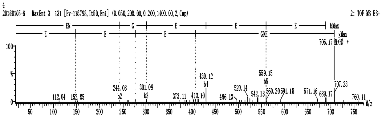 Antibacterial hexapeptide derived from Pediococcus lactis and preparation method thereof