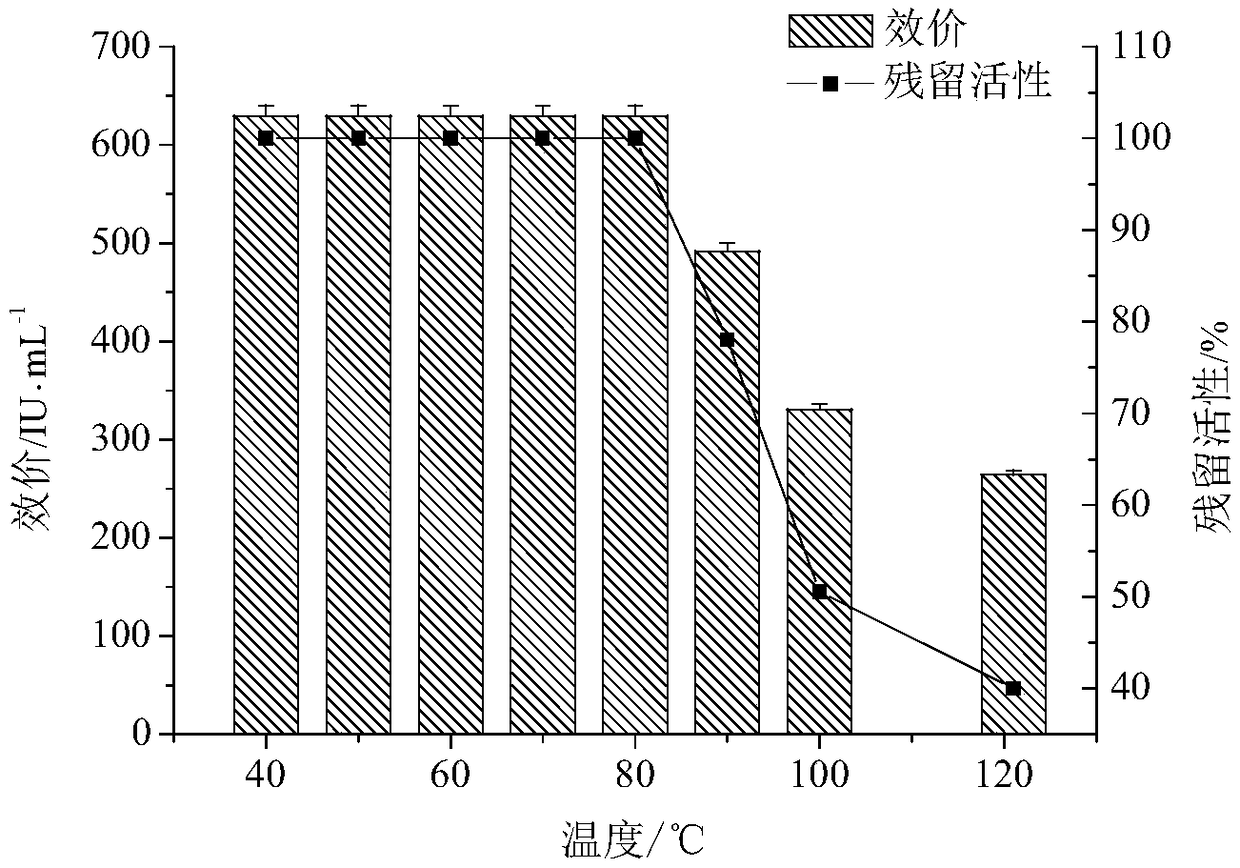 Antibacterial hexapeptide derived from Pediococcus lactis and preparation method thereof