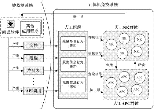 Spyware self-adaptation induction and detection method based on artificial immunity