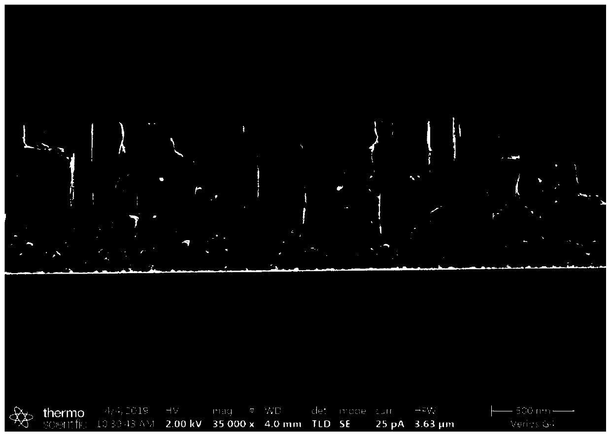 TaN coating and preparation method thereof and application