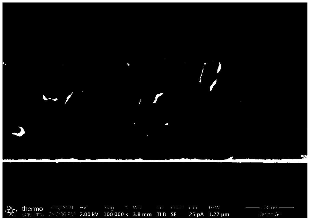 TaN coating and preparation method thereof and application