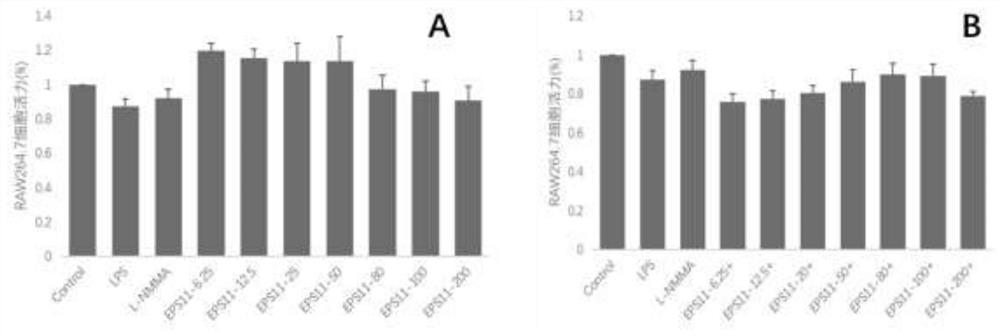 Application of bacillus marinus sp. BS11 exopolysaccharide in preparation of anti-inflammatory drugs