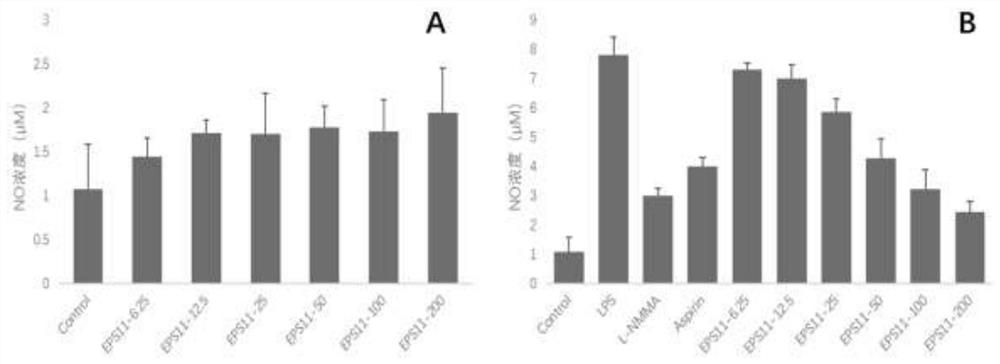 Application of bacillus marinus sp. BS11 exopolysaccharide in preparation of anti-inflammatory drugs