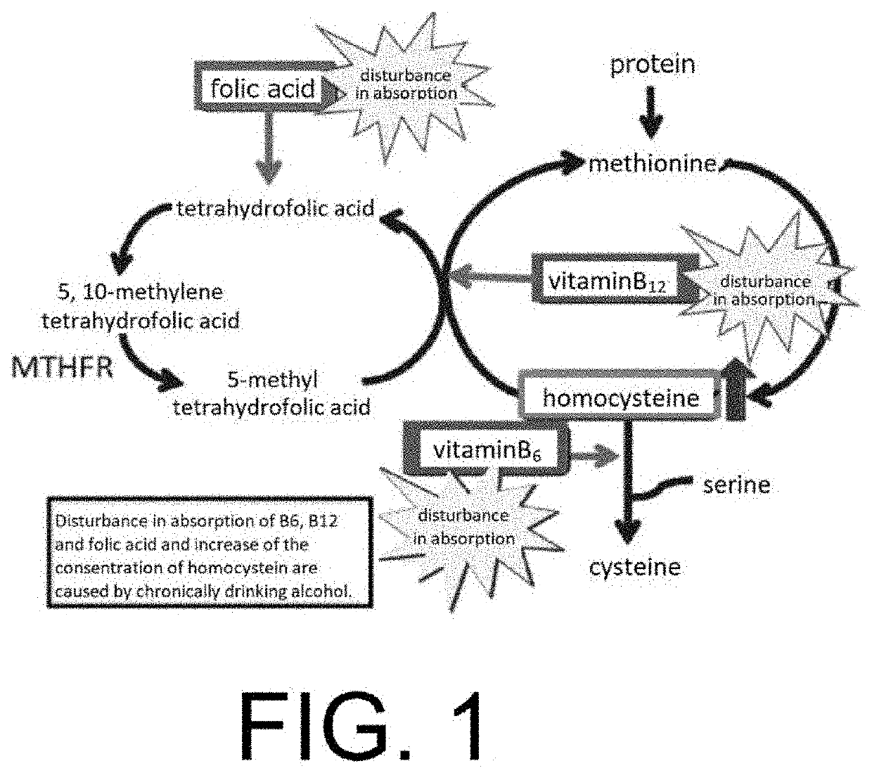 Brain health food or brain health beverage, and method for administering same