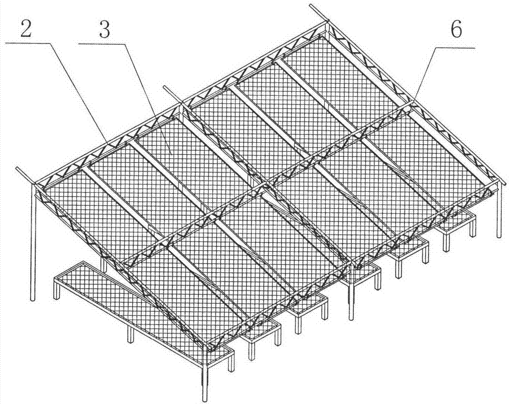 Simulated original ecological dendrobium-candidum cultivation greenhouse