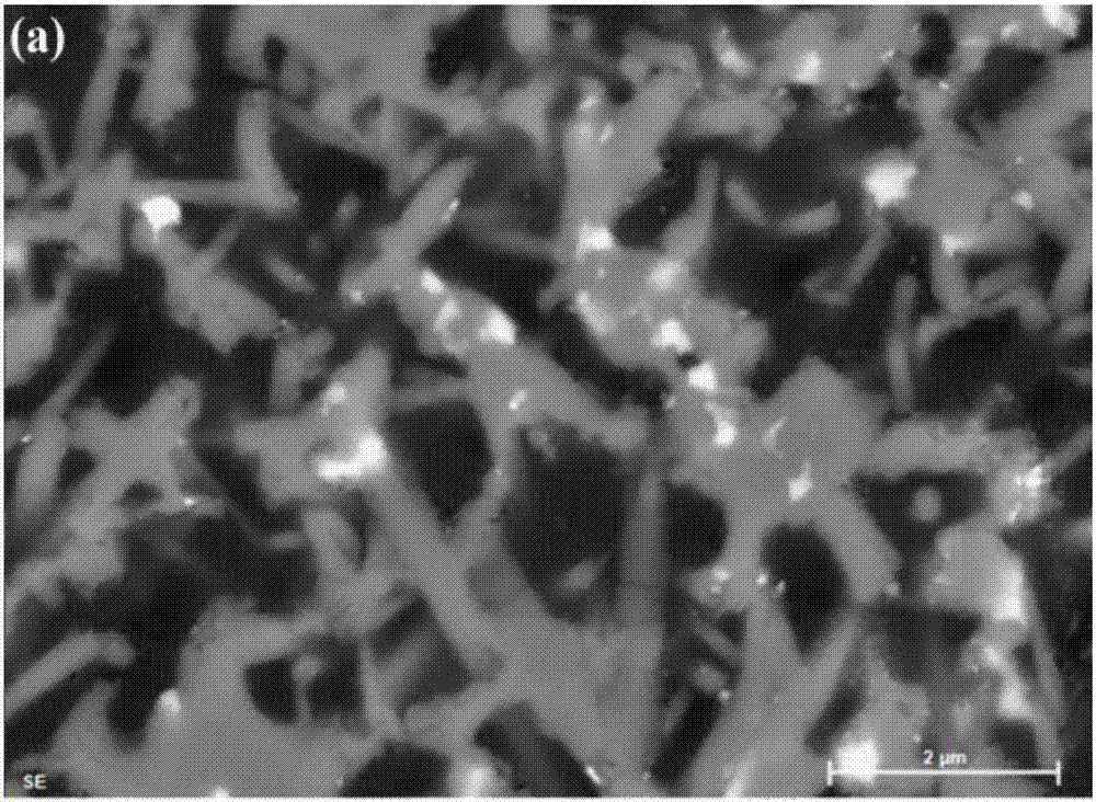 Silicon nitride-resin double continuous phase composite ceramic material and preparation method and application thereof