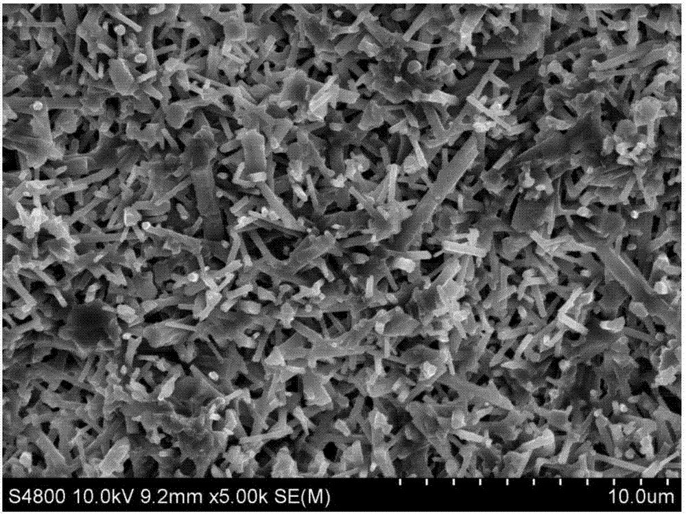 Silicon nitride-resin double continuous phase composite ceramic material and preparation method and application thereof