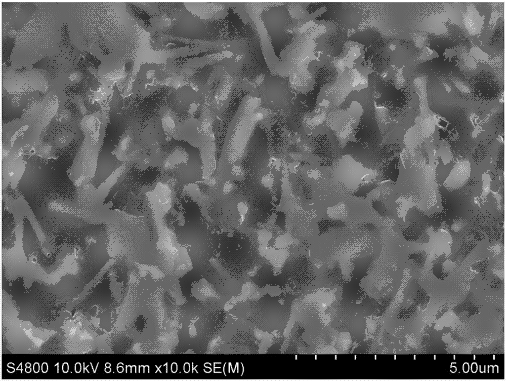 Silicon nitride-resin double continuous phase composite ceramic material and preparation method and application thereof