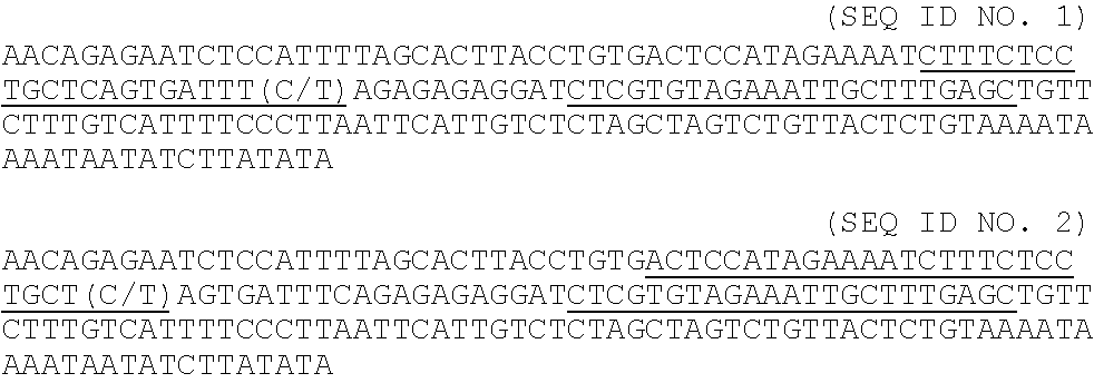 Polynucleotide primers