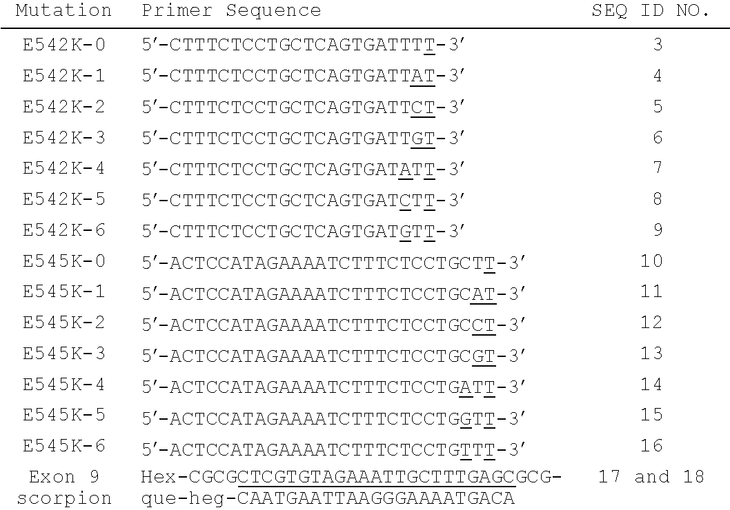 Polynucleotide primers