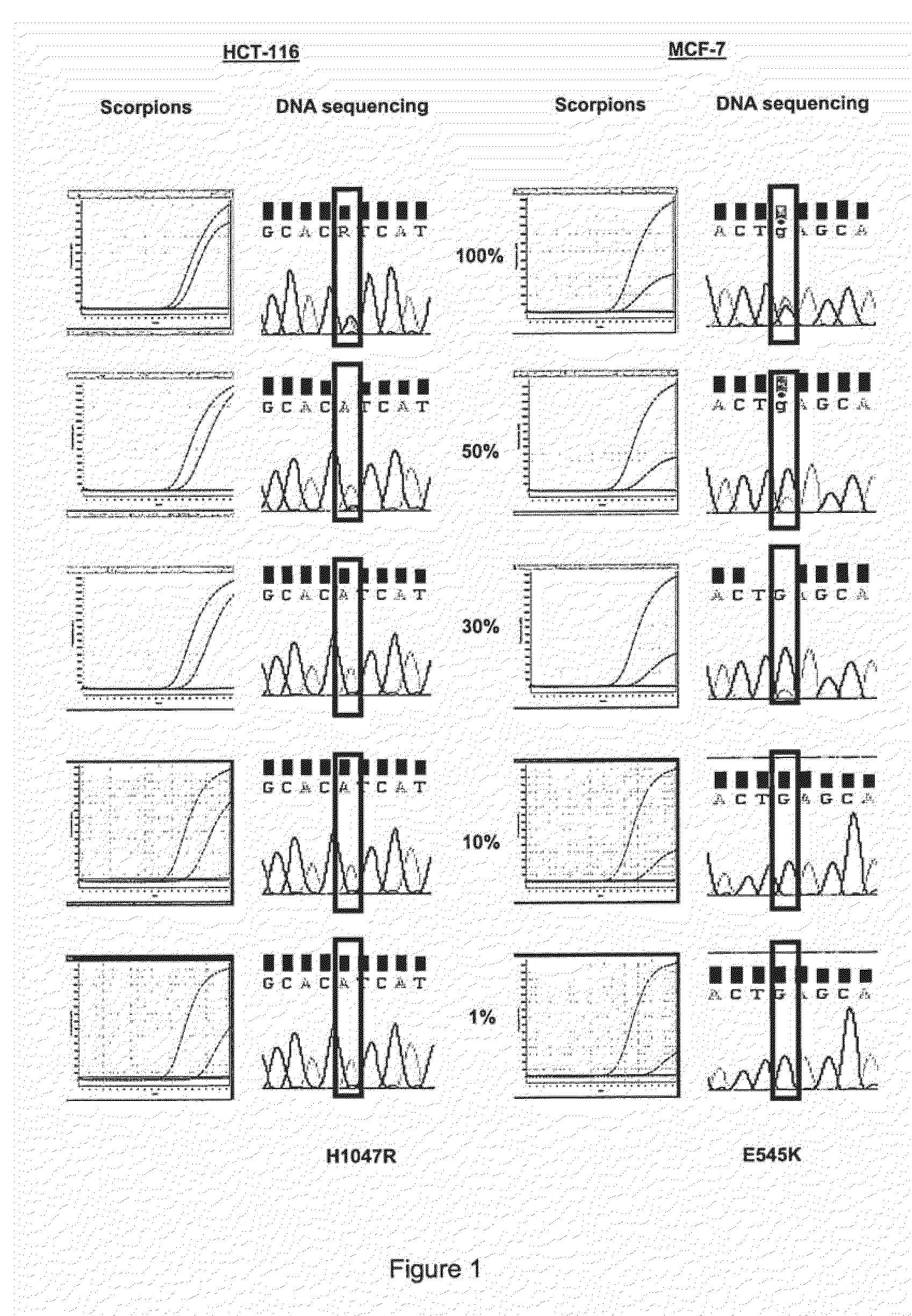 Polynucleotide primers