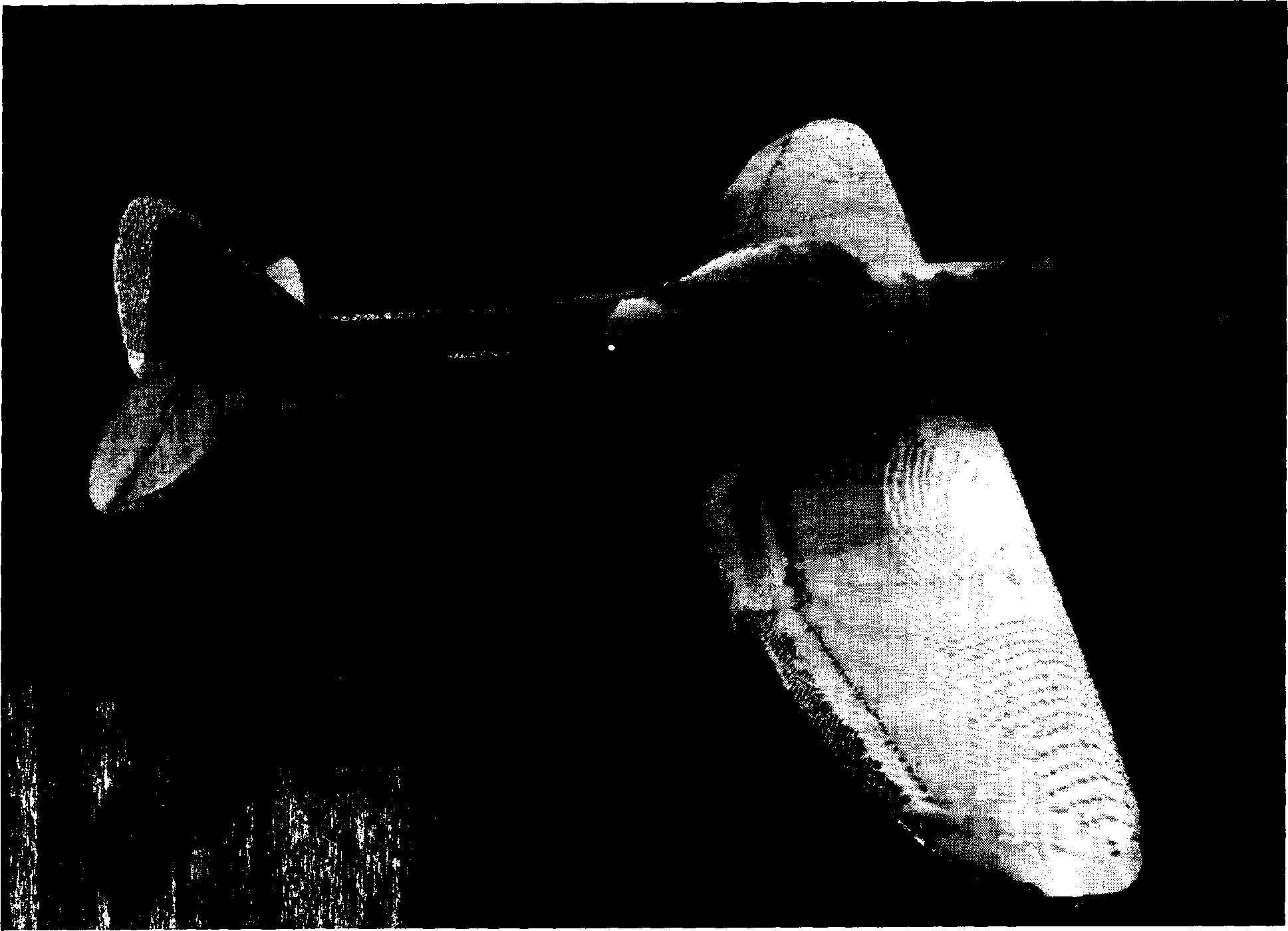 Remote rendering based three-dimensional model network distribution method