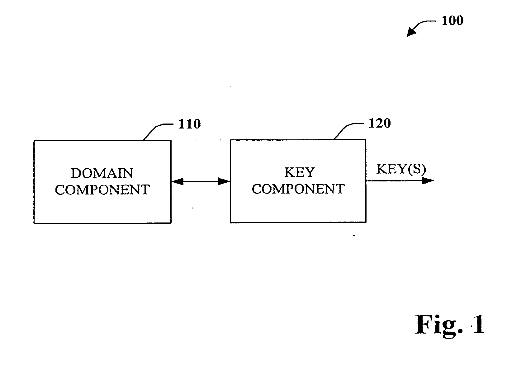 Surrogate key generation and utilization