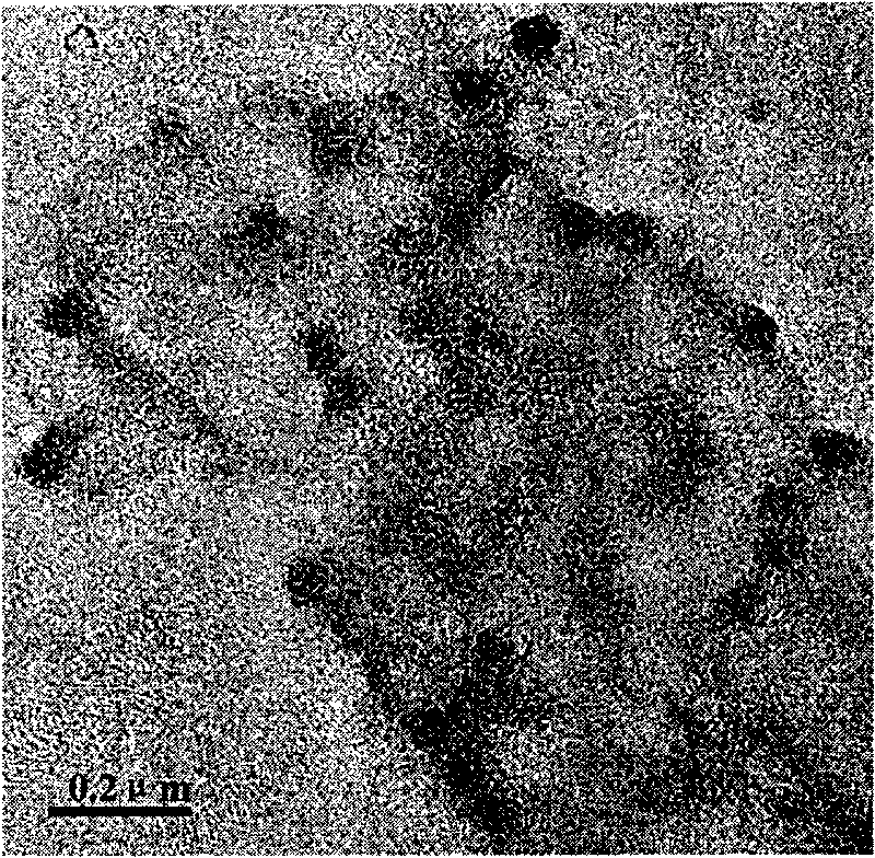 Preparation method of T4 bacteriophage supported precious metal nano-particle catalyst