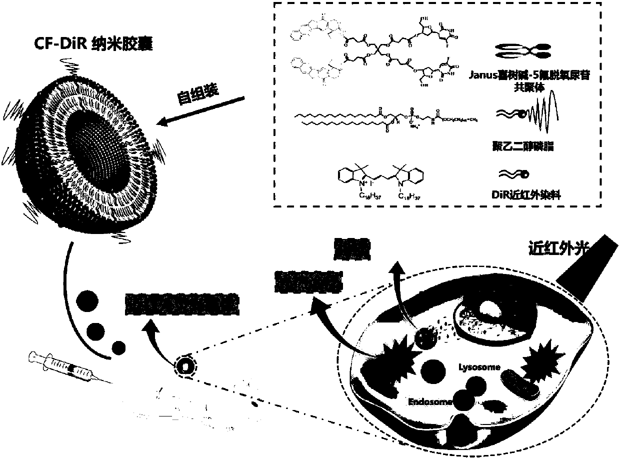 Multifunctional nanocapsule integrating near infrared fluorescent imaging with chemotherapy/photothermal therapy