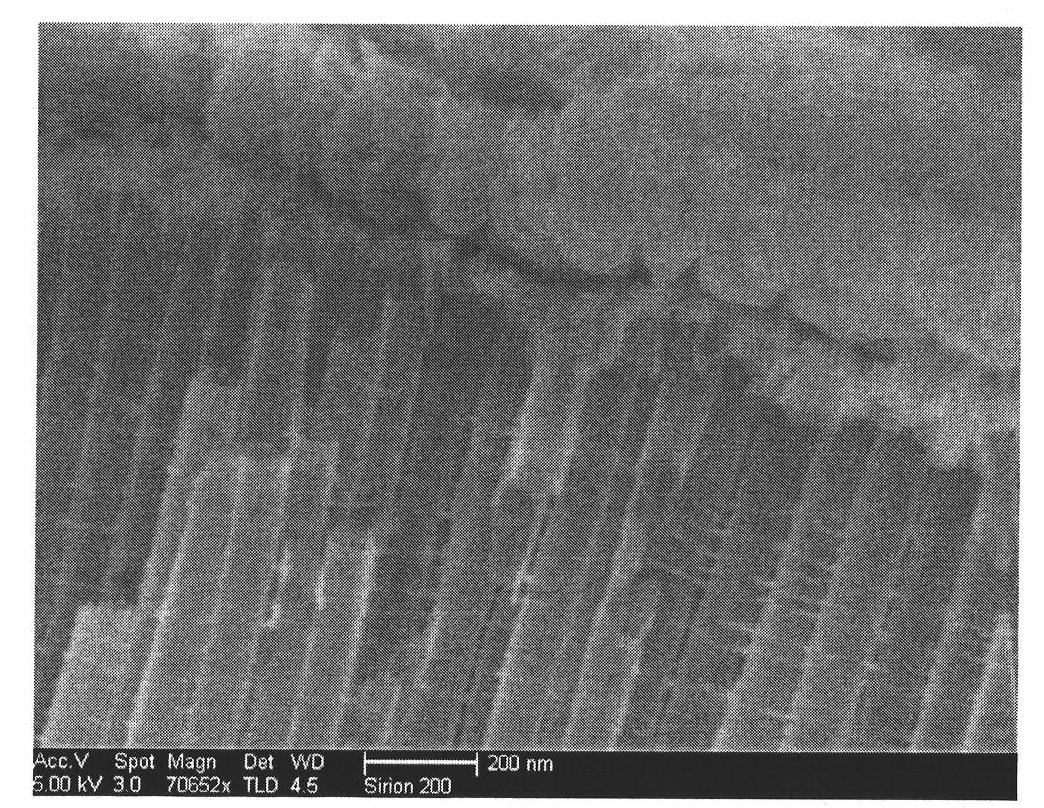 Preparation method of independent and ordered titanium dioxide nanotube arrays among tubes