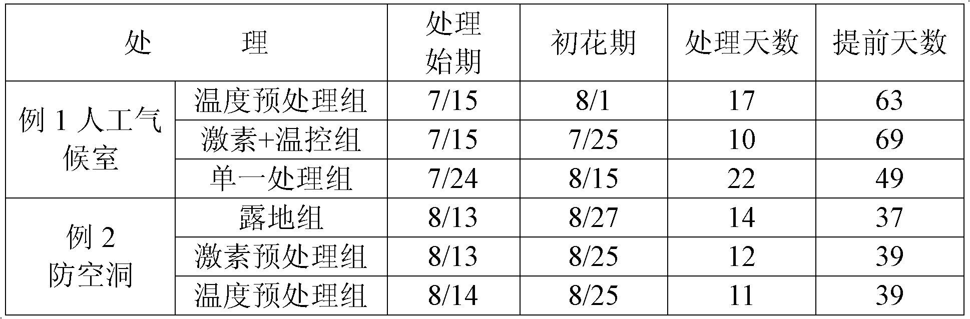 Early blossoming regulating and controlling method for potted osmanthus fragrans