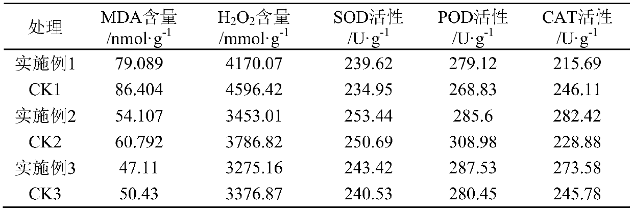 Upper leaf upgrading field physiological regulator, as well as preparation method and using method thereof