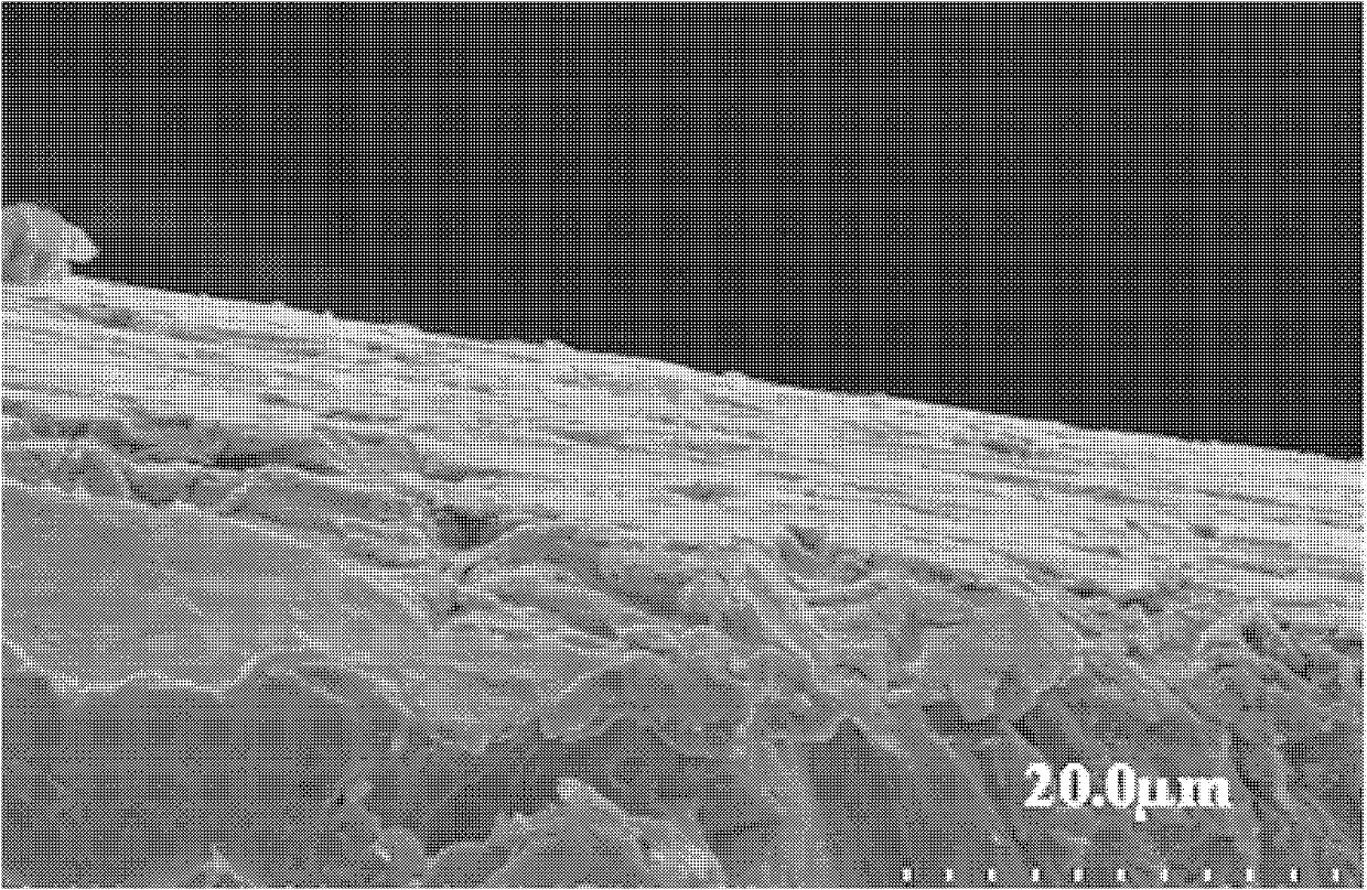 Medicinal silver-loaded metal bioactive coating as well as preparation method and application thereof