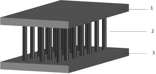 Dual-way growth type carbon nano tube array sensor and preparation method of dual-way growth type carbon nano tube array sensor