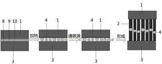 Dual-way growth type carbon nano tube array sensor and preparation method of dual-way growth type carbon nano tube array sensor