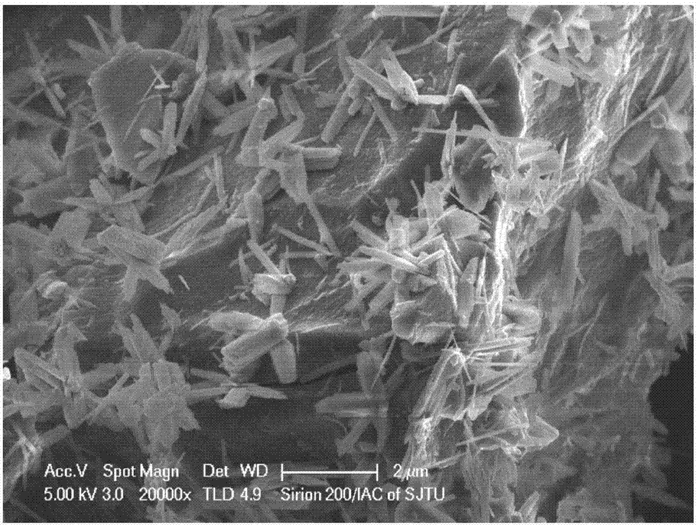 High-stability ordered mesoporous carbon loaded Fenton catalyst, and preparation method and application thereof