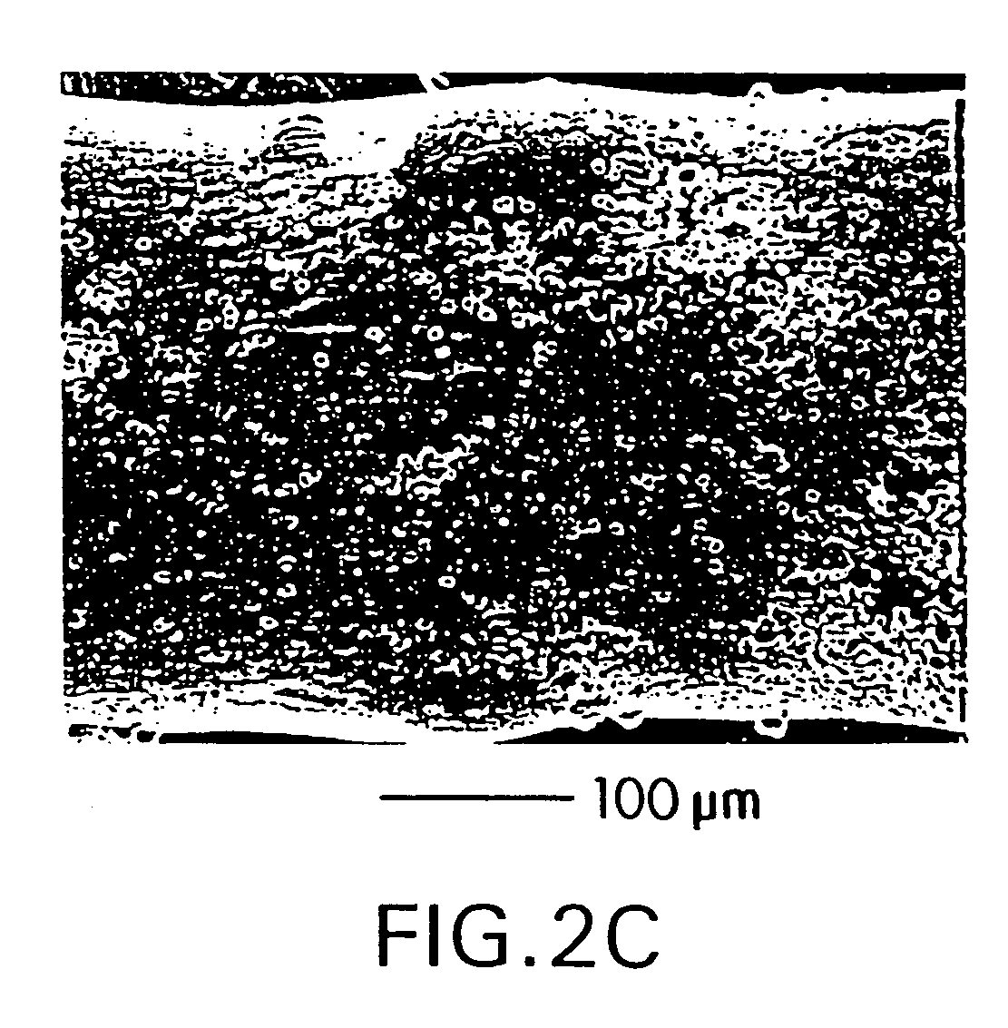 Compositions and methods for coating medical devices