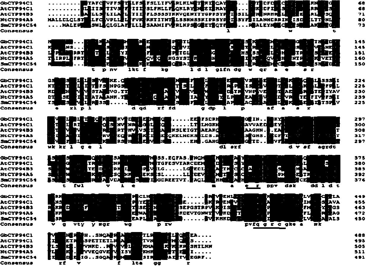 Application of Cotton Cytochrome p450 CYP94C1 Gene in Resistance to Verticillium Wilt