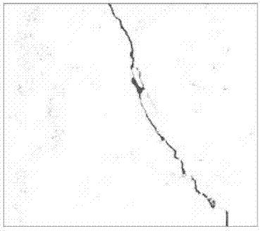 Pavement crack identification and feature extraction algorithm and system