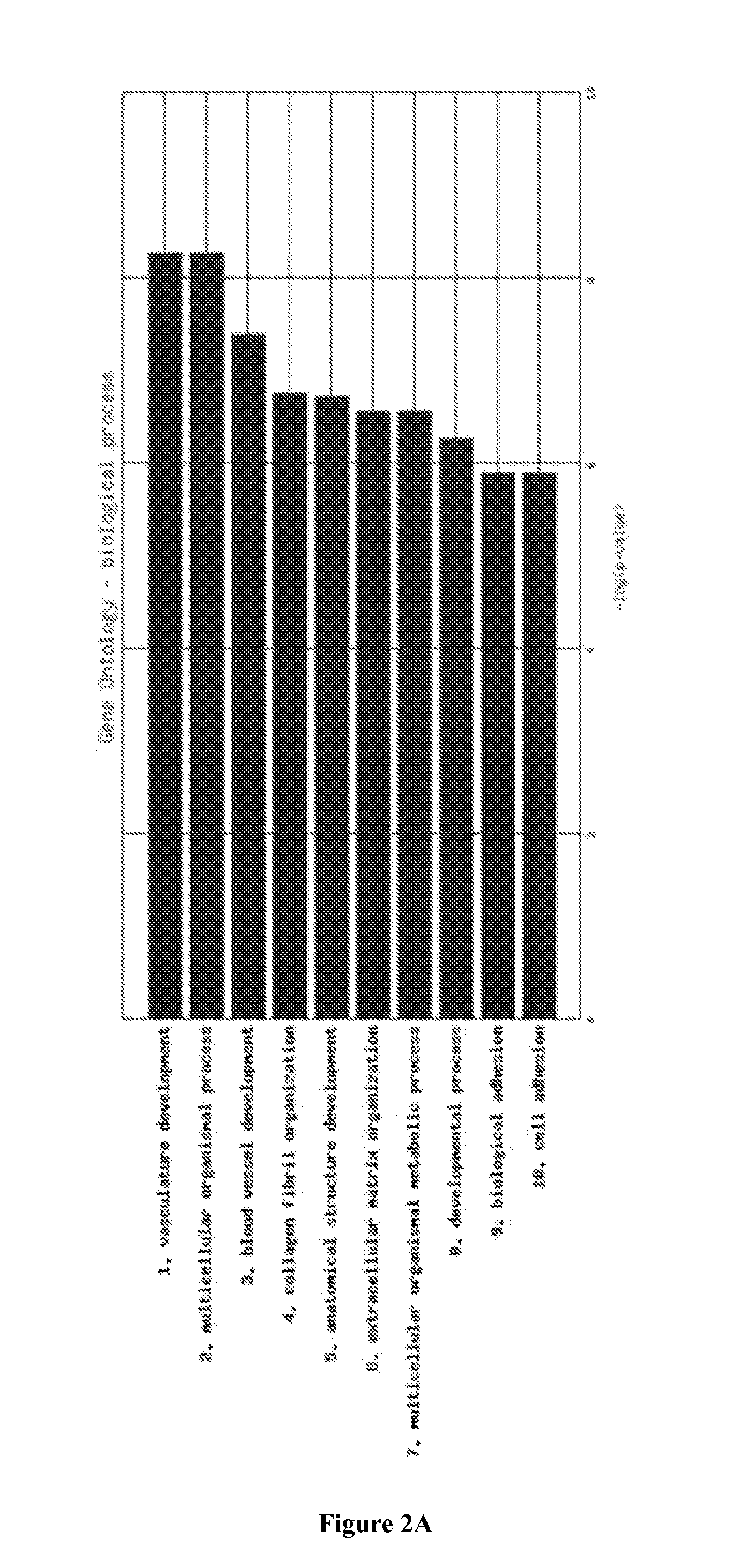 Molecular Diagnostic Test for Cancer