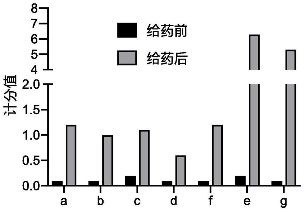 Composition of micro-array drug delivery system of glucagon-like peptide-1 receptor stimulating agent