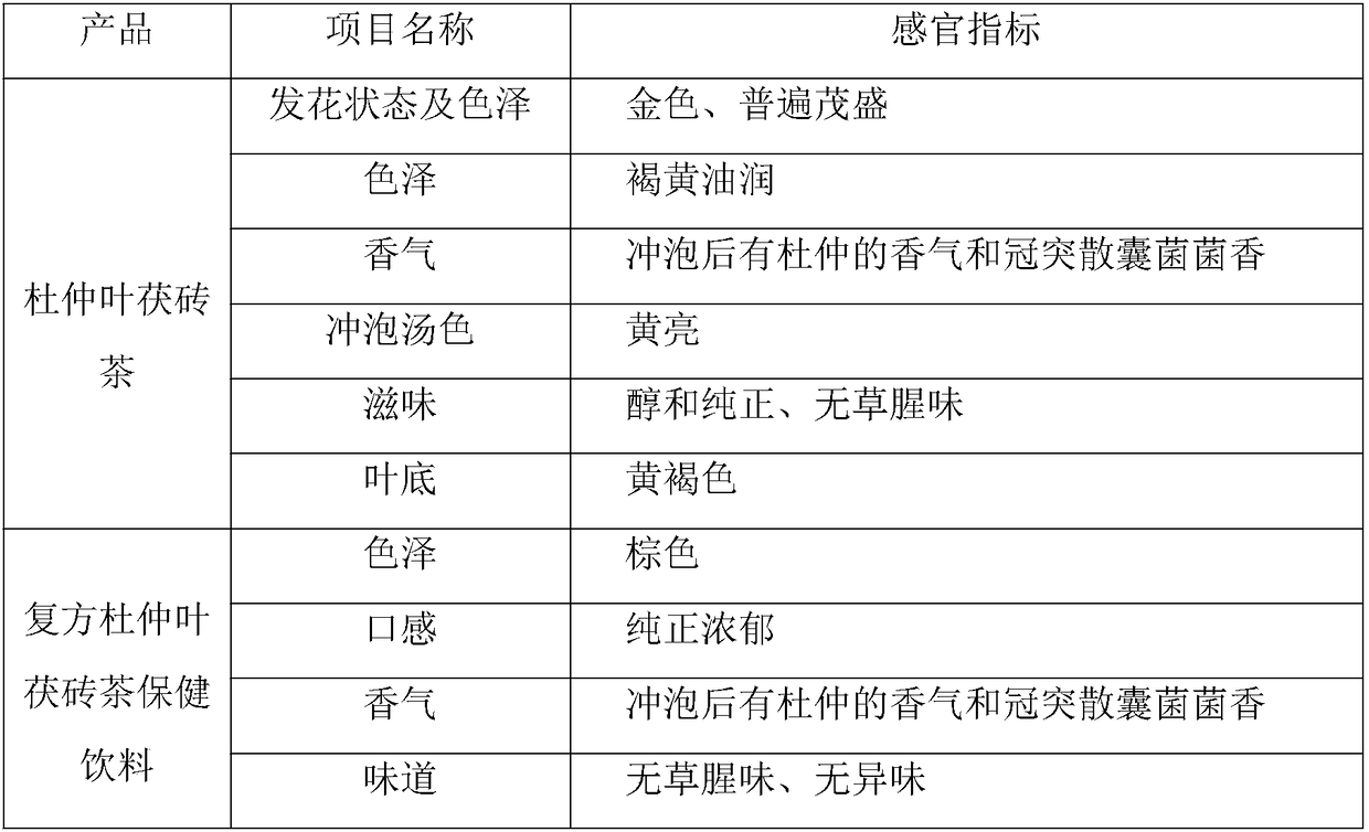 Composite folium eucommiae Fuzhuan tea health care beverage based on natural strain and preparation method thereof