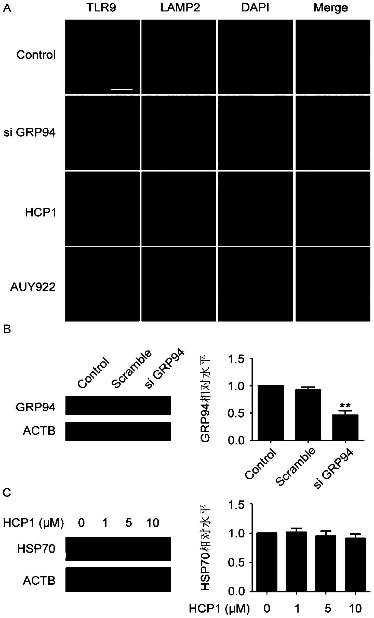 Application of 7-hydroxycoumarin pyrazoline derivatives in the preparation of grp94 inhibitors