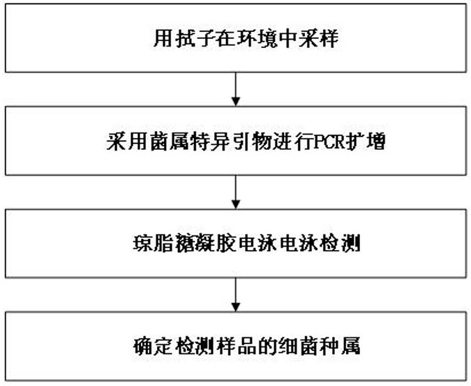 A primer set, kit and method for identifying environmental bacteria at the genus level