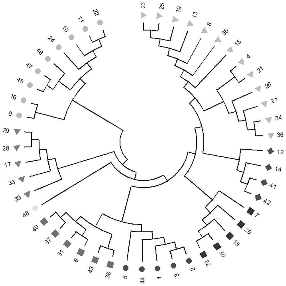 A primer set, kit and method for identifying environmental bacteria at the genus level