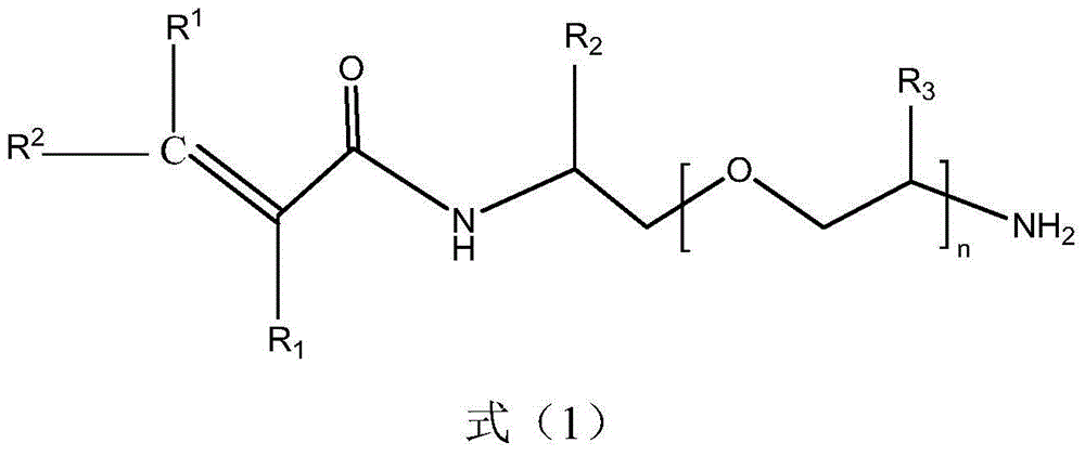 N-end-amino polyether-based acrylamide monomer and preparation method thereof