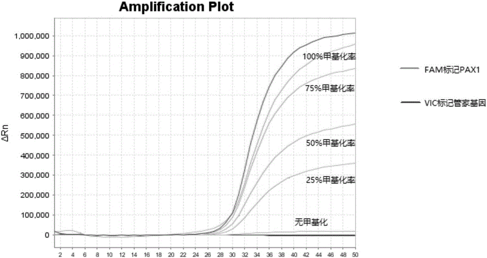 Primer pair, kit and method based on cervical cancer specificity methylation detection